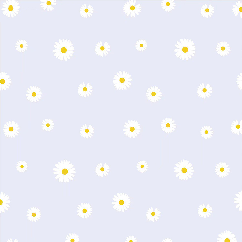 MYHC-18 Fresh Little Daisy Pearl Film Bloem Inpakpapier