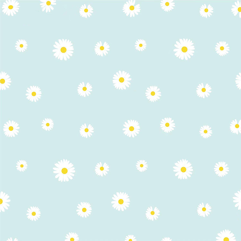 MYHC-18 Fresh Little Daisy Pearl Film Bloem Inpakpapier