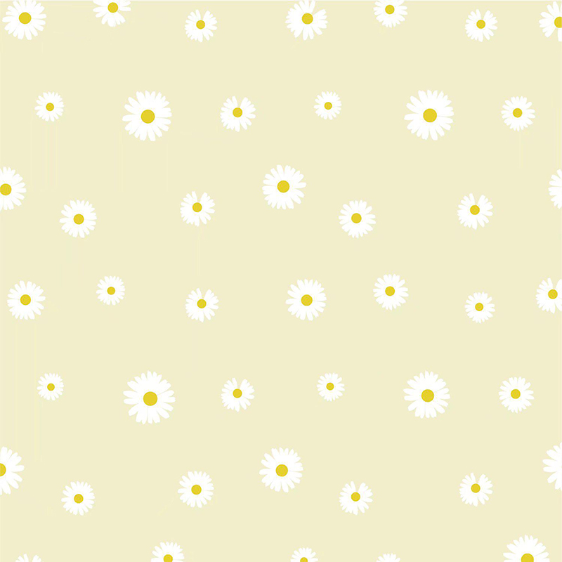 MYHC-18 Fresh Little Daisy Pearl Film Bloem Inpakpapier
